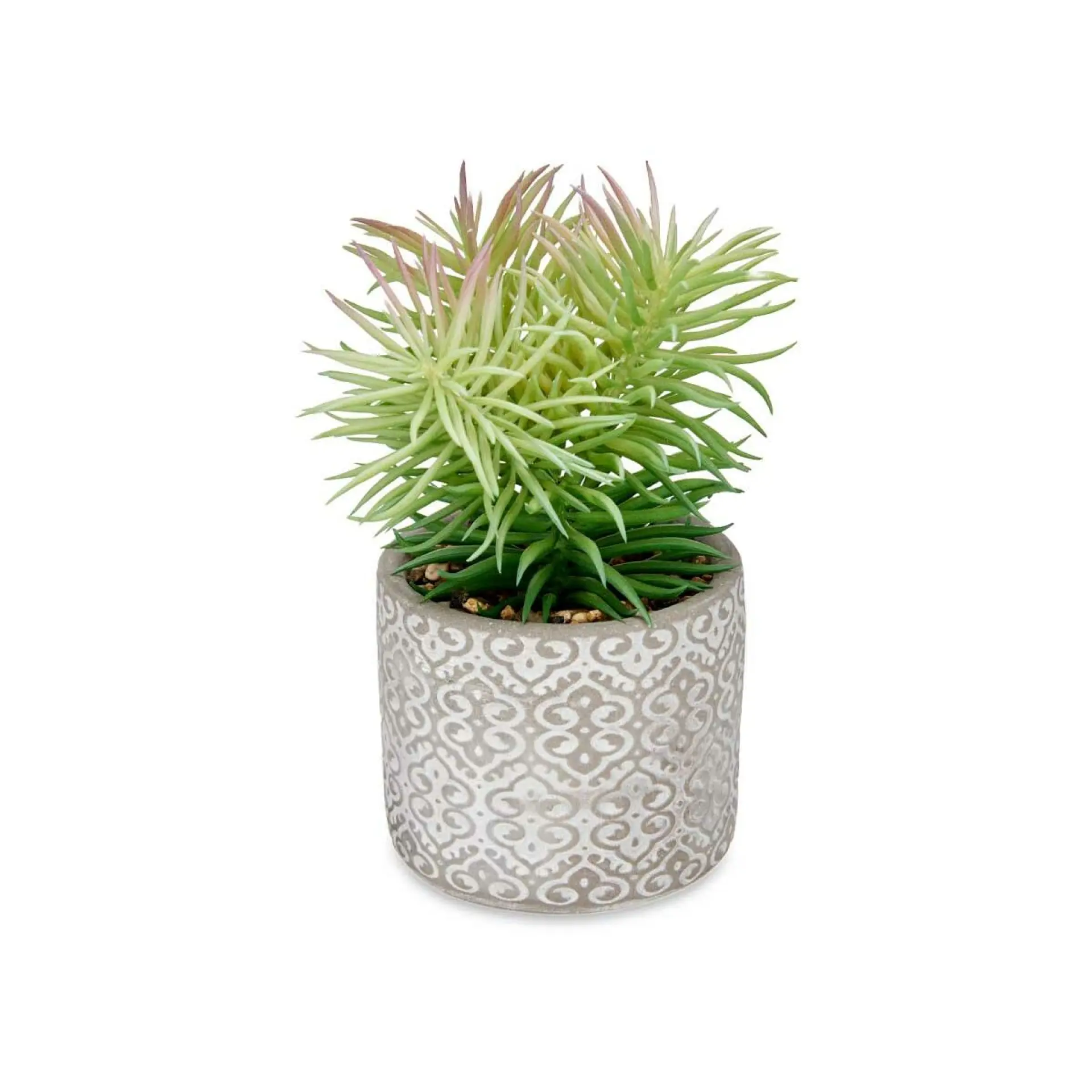 Plante décorative Succulent Bois, Polyéthylène, Plastique & Ciment – Ibergarden (12 x 22 x 12 cm – 8 Unités)