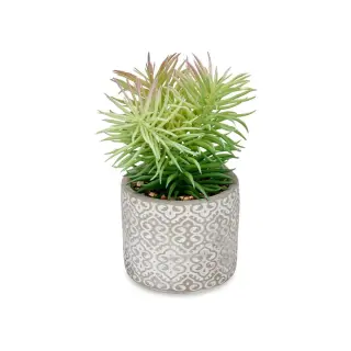 Plante décorative Succulent Bois, Polyéthylène, Plastique & Ciment – Ibergarden (12 x 22 x 12 cm – 8 Unités)