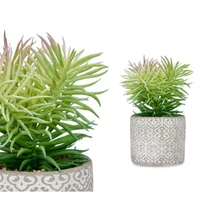 Plante décorative Succulent Bois, Polyéthylène, Plastique & Ciment – Ibergarden (12 x 22 x 12 cm – 8 Unités) - Vue 2